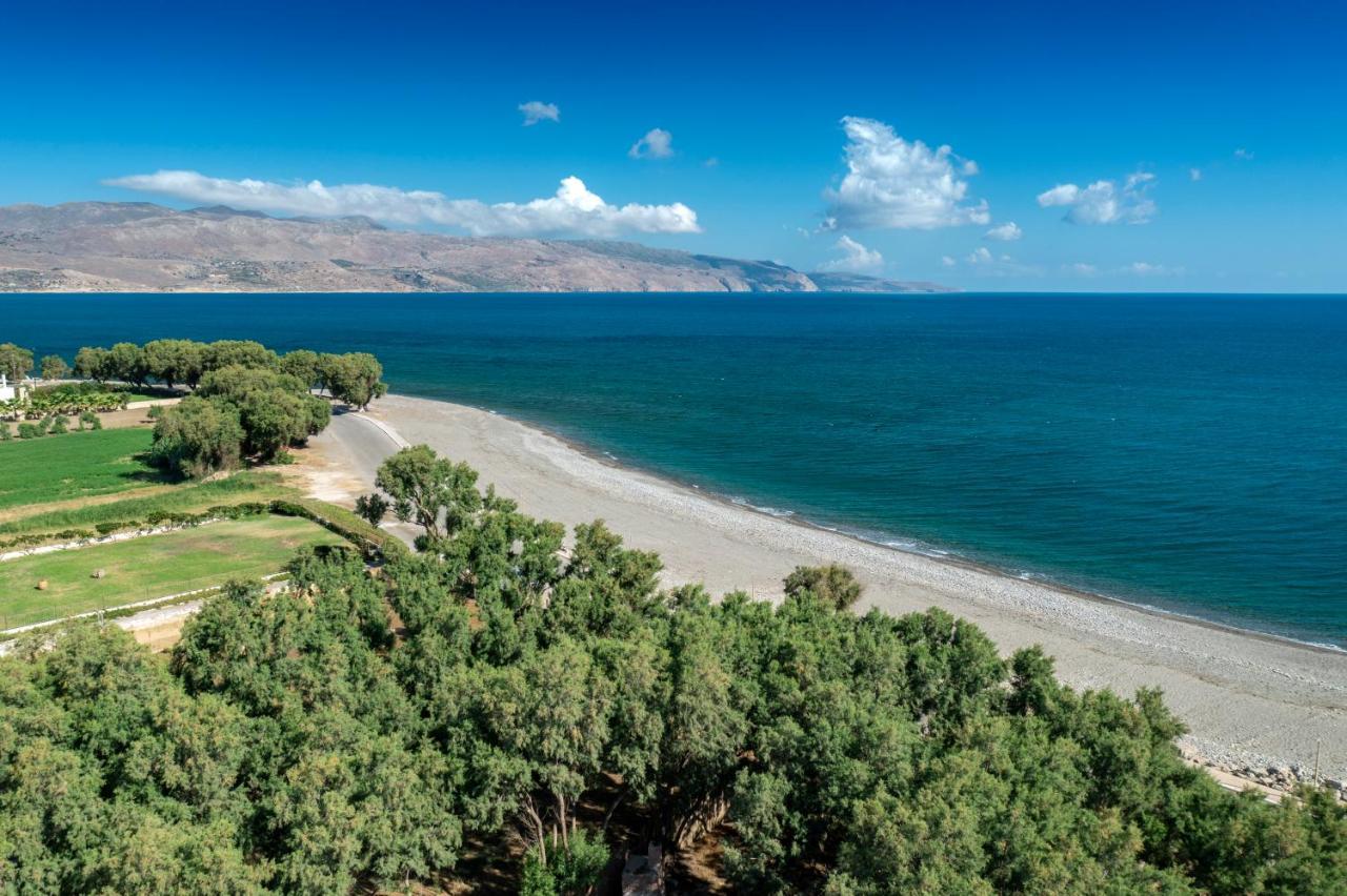 Villa Persephone Tavronitis Eksteriør billede